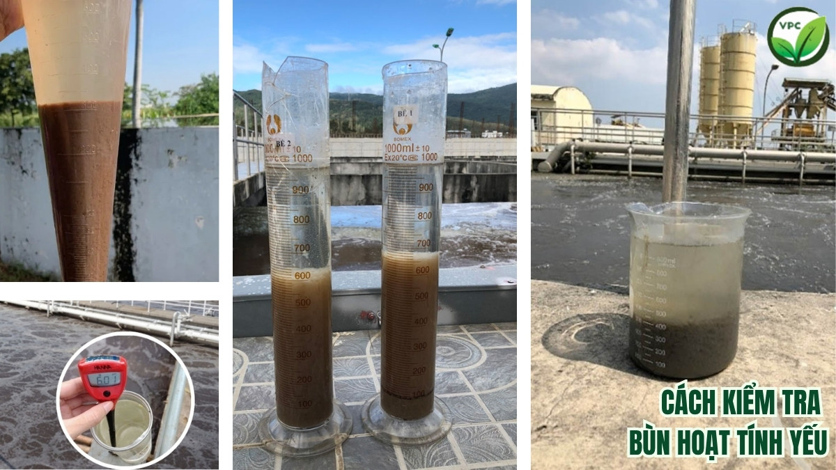 Cách kiểm tra bùn hoạt tính yếu