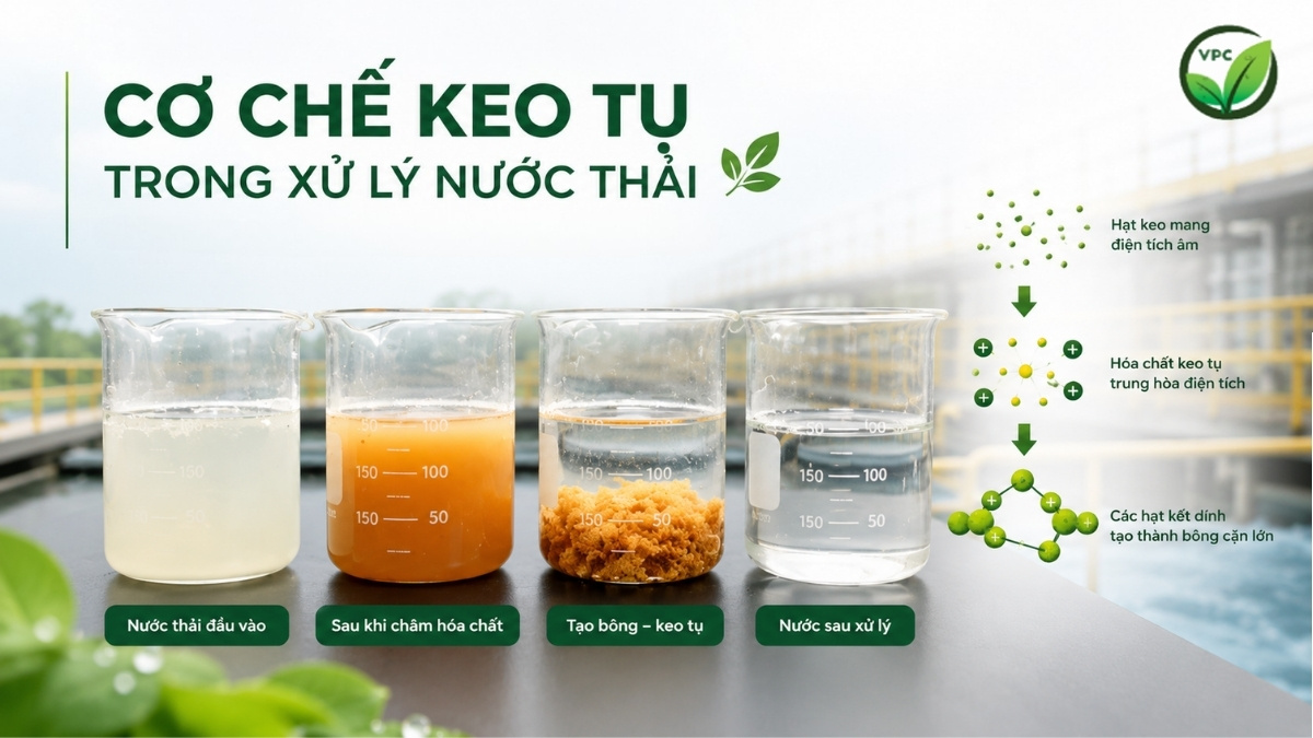 Cơ chế keo tụ trong xử lý nước thải nhà máy dệt nhuộm 