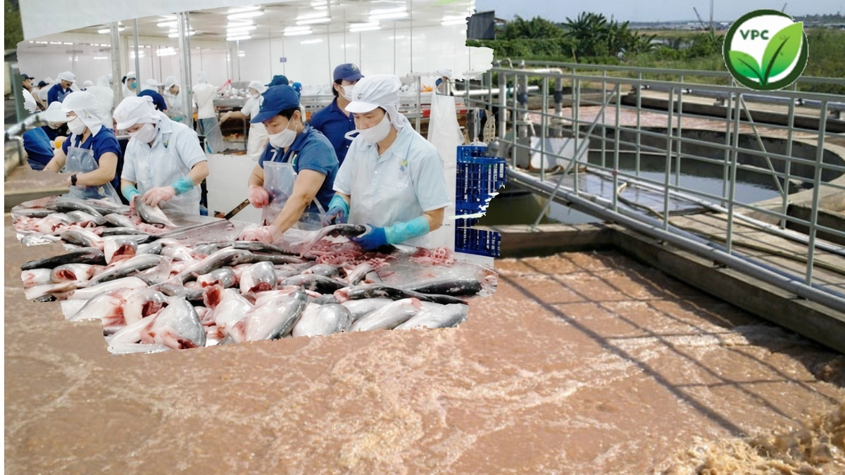 Hệ thống xử lý nước thải thủy sản đạt QCVN cho nhà máy chế biến