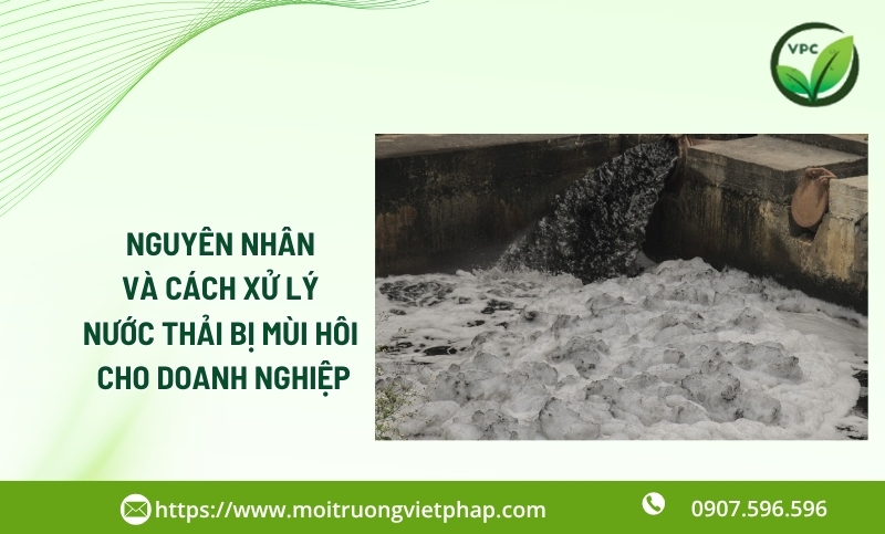  Nguyên nhân và cách xử lý nước thải bị mùi hôi hiệu quả cho doanh nghiệp 